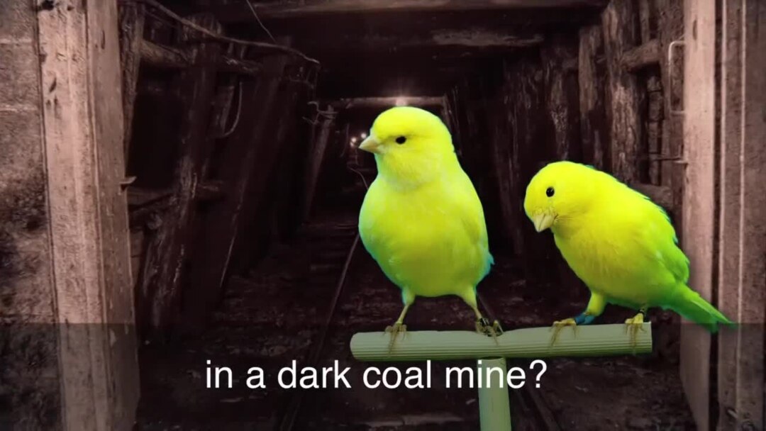 English in a Minute: Canary in a Coal Mine
