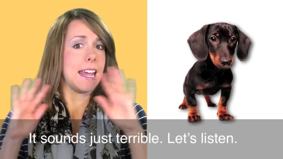 English in a Minute: Dog Eat Dog