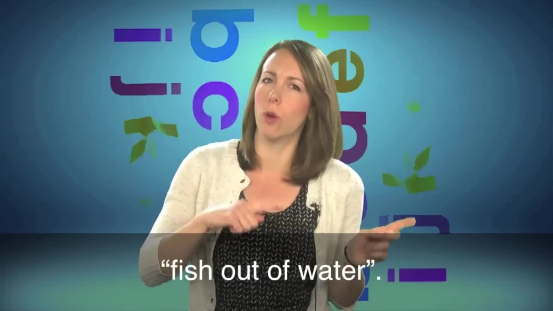 English in a Minute: A Fish Out of Water
