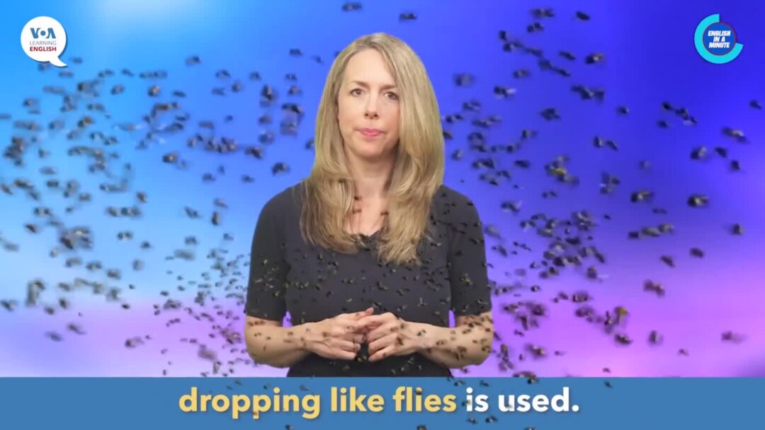 English in a Minute: Dropping Like Flies
