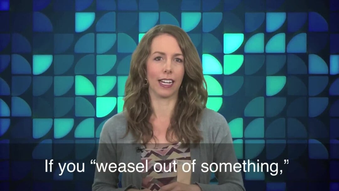 English in a Minute: Weasel Out of (Something)