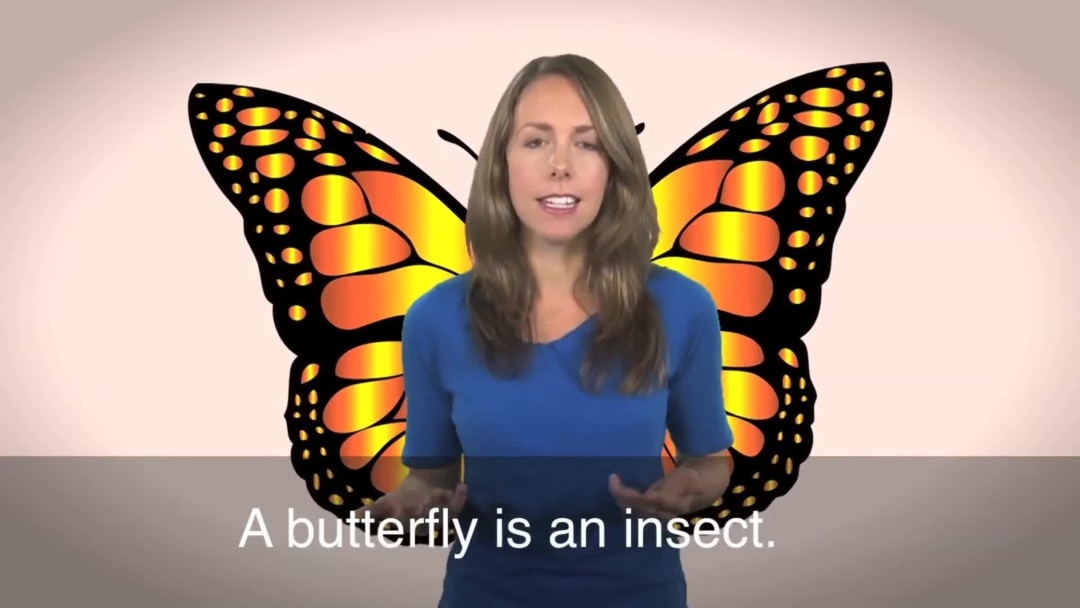 English in a Minute: Social Butterfly